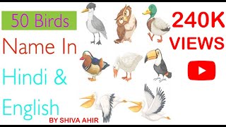hindi birds english creative learning