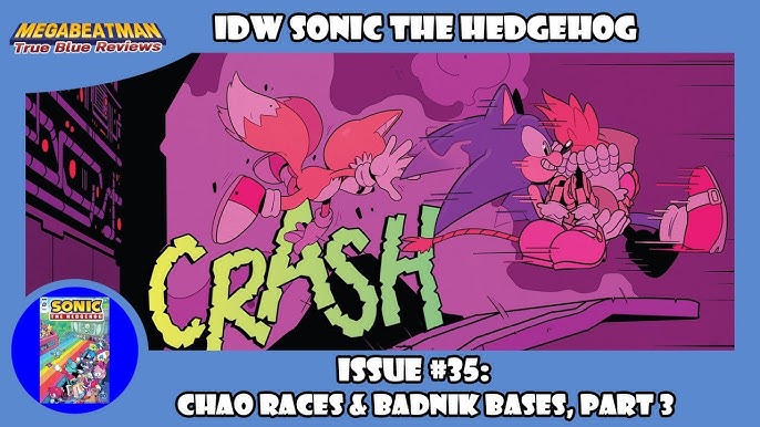 IDW Sonic The Hedgehog #8  A Comic Review by Megabeatman 