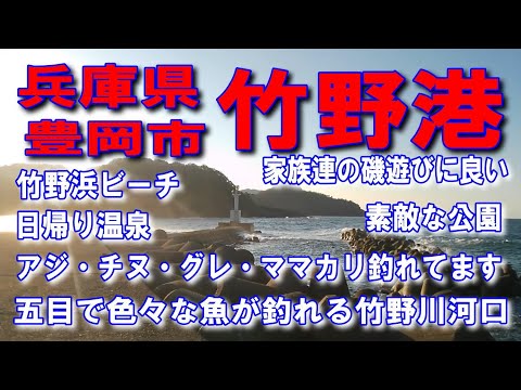 #114兵庫県竹野港五目で色々な魚が良く釣れる漁港アジチヌグレママカリ釣れてます素敵な公園あり砂浜が素敵です日帰り温泉雄大な海と豊かな自然家族連の磯遊びに良い竹野浜ビーチ国道178多くの釣り人が夜釣り