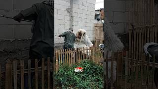 Grandong Ngacir Ditampol Haji Eman