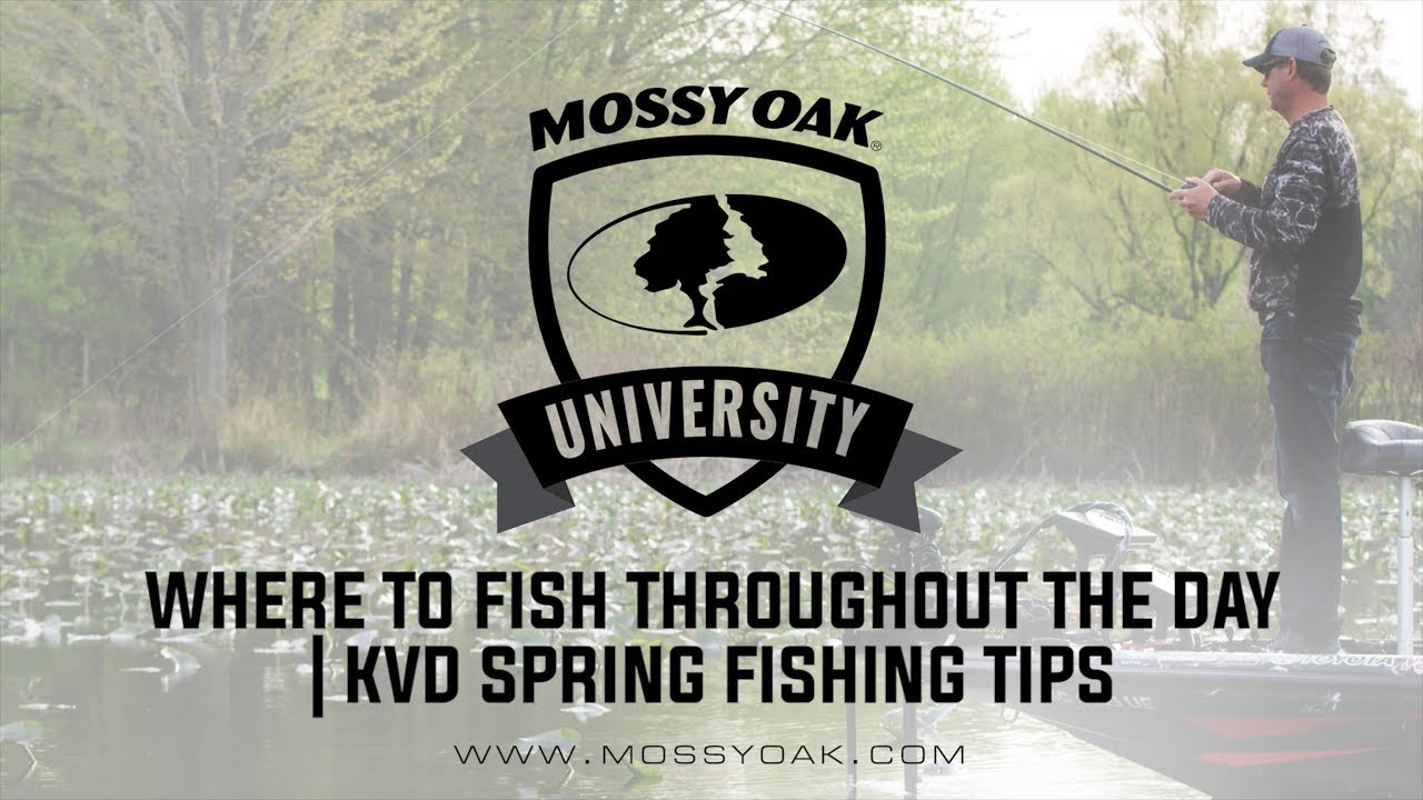 Where To Fish Throughout the Day | KVD Spring Fishing Tips