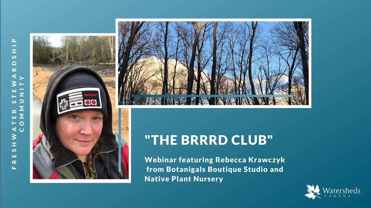 "The Brrrrd Club: Cold-weather birding in Muskoka, Haliburton, and Algonquin" with Rebecca Krawczyk