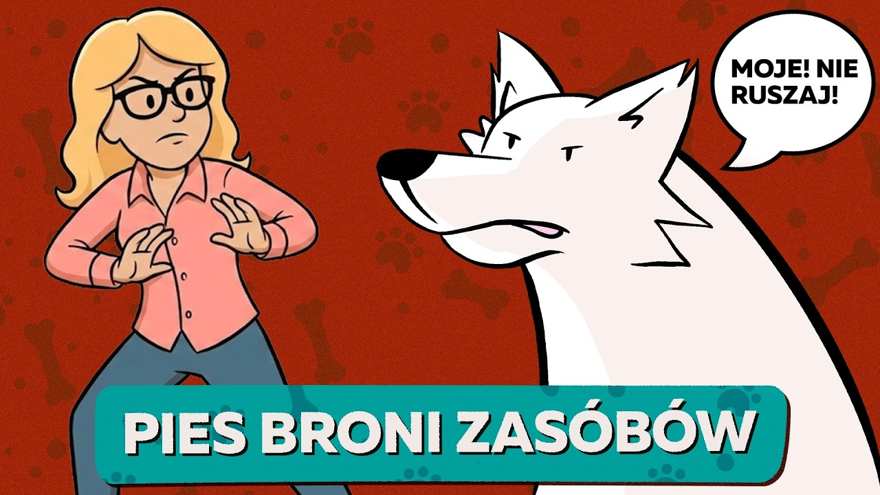 Czemu pies broni miski?