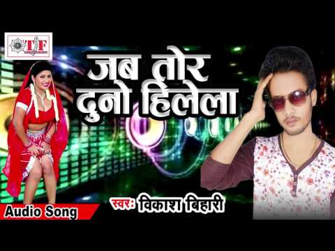 जब तोर दुनो हिलेला हमार तीनो हिलेला - Jab Tor Duno Hilela - Vikash Bihari - Bhojpuri Lok Geet 2017
