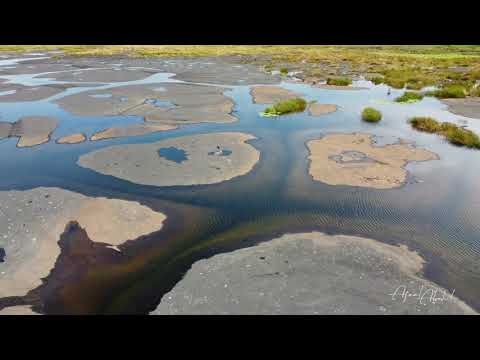 The Asphalt Lake (Pitch Lake), Trinidad