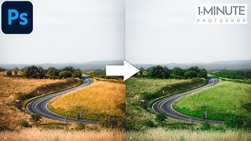Trick To Change Yellow Leaves To Green Leaves in Photoshop - 1-Minute Photoshop - Color Grading
