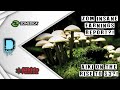 ZOM and AIKI Stock News | Zomedica Positive Earnings Report! | AIkido Helping Legalize Shrooms?!