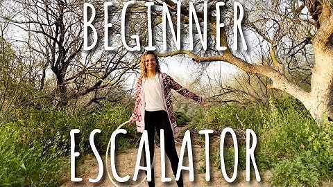 Hula Hoop Tutorial | How to do a Basic Escalator
