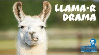 Llama-r Drama | Black Lincoln Collective Comedy Podcast