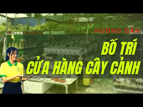 Video: Nhóm cây - Ý tưởng trồng hàng loạt cho hoa