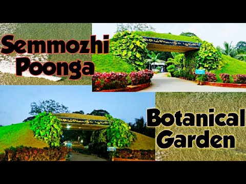 Semmozhi poonga/Chennai Botanical Garden/Tourist place in Chennai