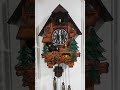 Cuckoo Clock Cuckoo Cuckooclock Clock Shorts Forest Forestsounds Waterfall Cuckoo Clock Cuckoo Cuckooclock Clock Shorts Forest Forestsounds Waterfall