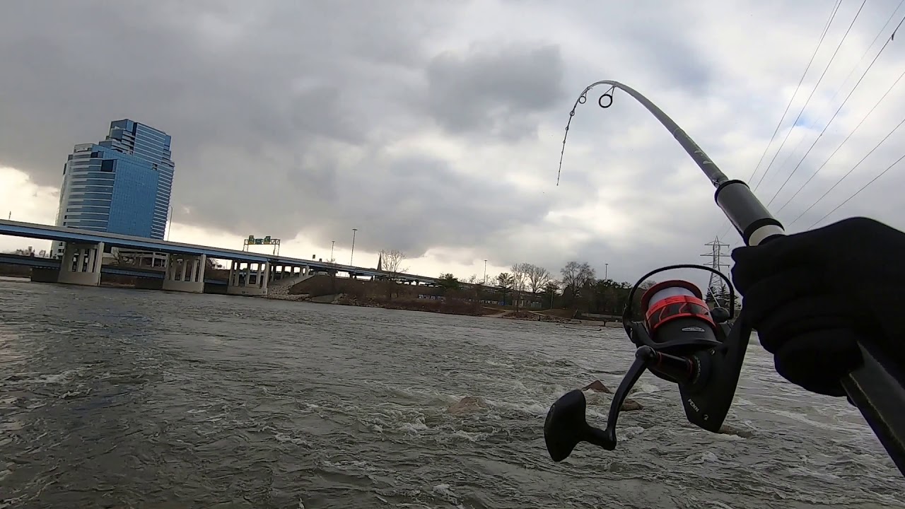 Fighting a Steelhead at The Sixth Street Dam.