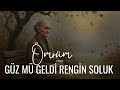 ÖMRÜM Güzmü Geldi Rengin Soluk 70s COVER