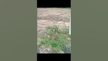 Bán Đất Nền Tại Phường Chơn Thành #batdongsan #muabandatgiare