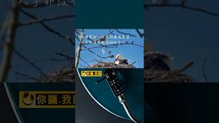 [ 3.2 廣東話聖經故事 - 耶穌平靜風和海 ]..... 耶穌治病 | 狐狸有洞 | 天空的飛鳥有窩 | 人子卻沒有枕頭的地方 | 斥責風和海 | 你聽我講