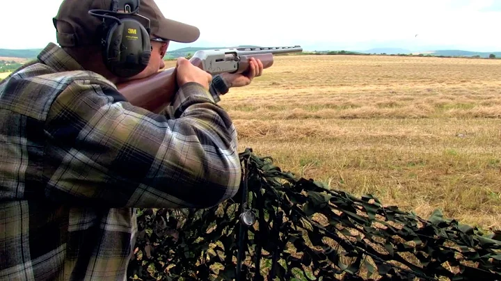 The Shooting Show – pigeon shooting the Irish way