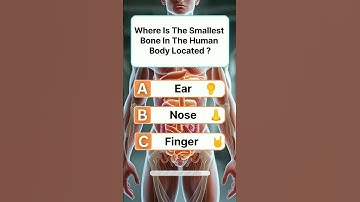 Guess the correct answer 🧠 #gk #trivia #quiz #challenge #learning #education #information #facts