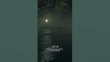 قل لو كان البحر مدادا لكلمات ربي | القارئ : عبدالباسط عبدالصمد - النفسير في صندوق الوصف