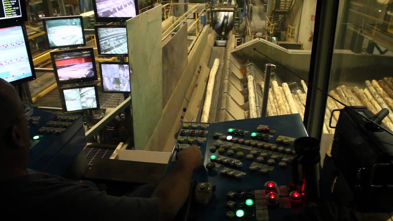 Sawmills in Canada fight the bark beetle