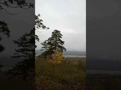 Волховское место. Пискалы.