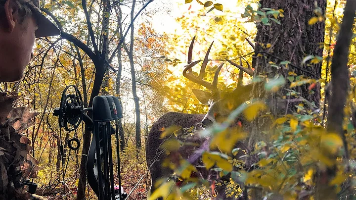 Ground Hunting in The Timber! - TWO Big Wisconsin Bucks