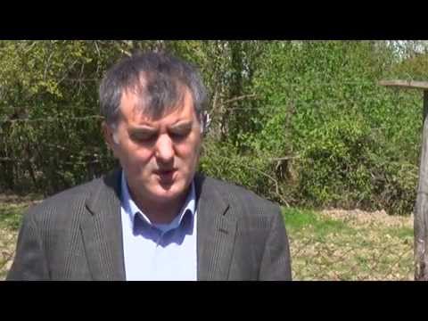 გურიაში ეკომიგრანტ ოჯახებს სახლები გადაეცათ