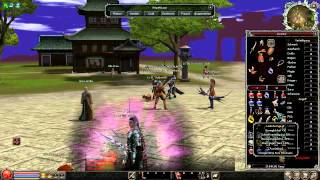 Let's Play Metin2 P-Server #1 [German][HD]