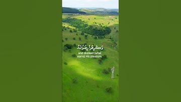 #سورة_محمد #القارئ_رعد_الكردي #لا_اله_الا_الله #اللهم_صل_وسلم_على_نبينا_محمد #quransbeauty1