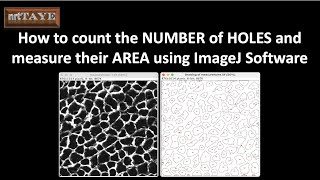 How to count the number of HOLES and measure their AREA using ImageJ Software