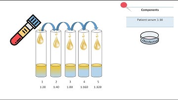 Complement titration test