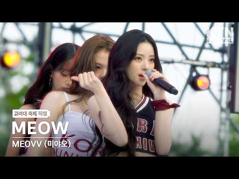 [4K] 미야오(MEOVV) - MEOW | 2026 고려대학교 입실렌티 IPSELENTI