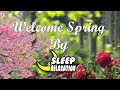 Relaxing Spring music, Sounds to get you into the Spring spirit | Sleep and Relaxation |