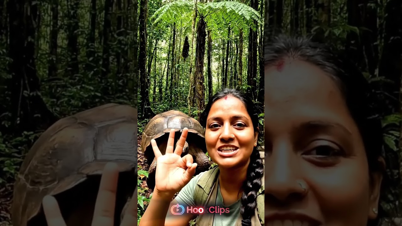 REAL GIANT TORTOISE LIVES 100 YEARS! 🤯 Amazon Jungle Facts in Hindi 