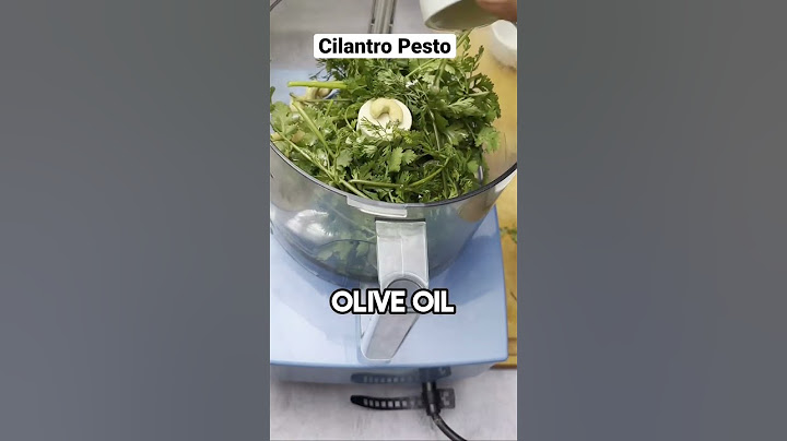 Make restaurant-quality Cilantro Pesto in Minutes!