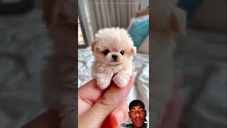 #funny #facts #animals #cute #pets #viralvideo #trending #viral #education #shorts #2026