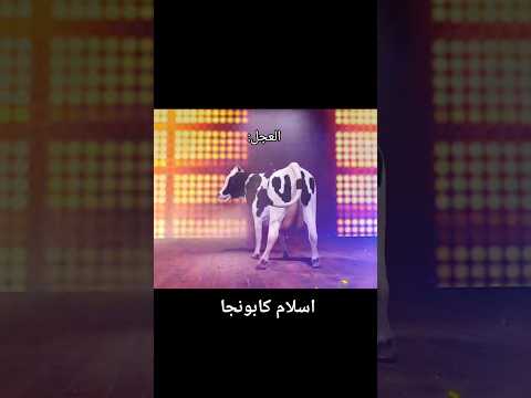 سمعنا العجل مهرجانات Shorts Viral مهرجانات عيد الاضحى اسلام كابونجا اغاني