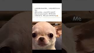 5 crore ka ghapla 😁#tweetreels #funnymemes #popular #dogmemes #bankloan #bank #chori #police#confuse