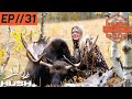 BSY | BIG BULL MOOSE DOWN | S3E31