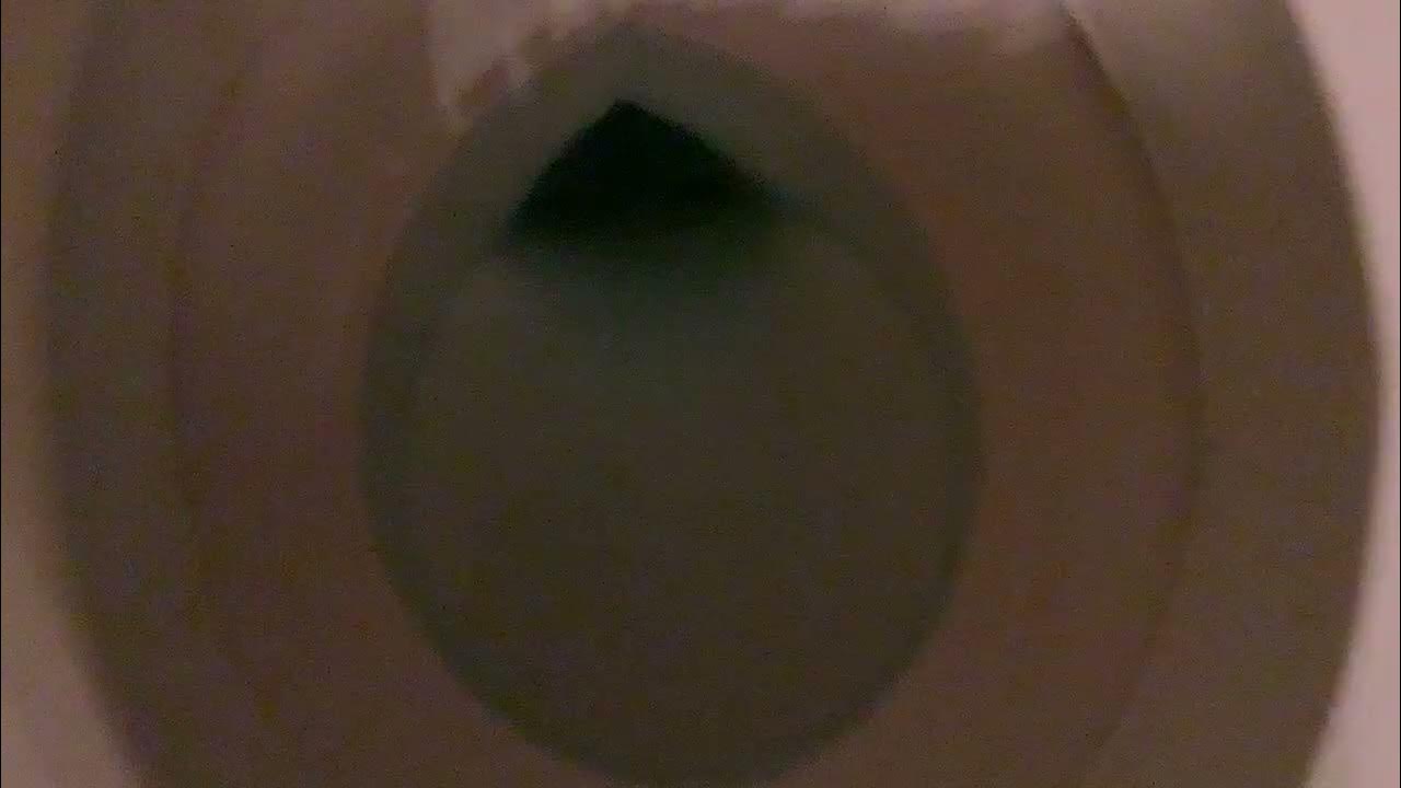 UniversalRundle toilet YouTube