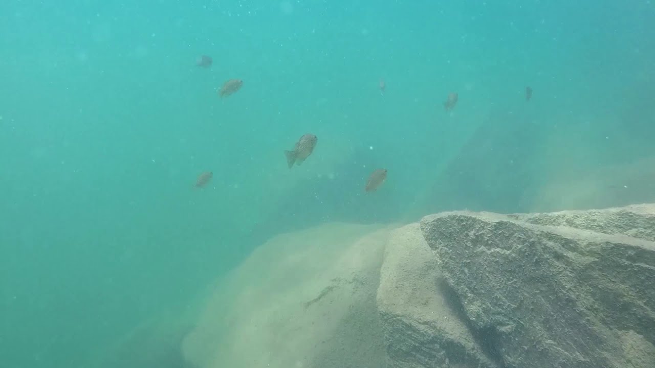 Lac des Piles 4 juillet 2020 video 2 YouTube Lac des Piles 4 juillet 2020 video 2 YouTube