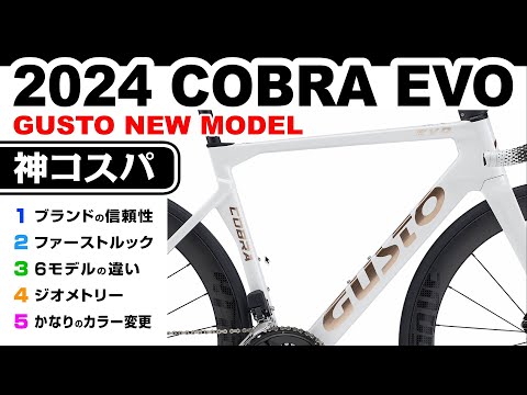 まさき出品　期間9月1日迄　GUSTO EVO DB 2024年車 まさき様専用出品 期間9月1日迄 GUSTO EVO DB 2024年車