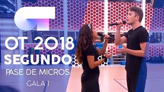 Video thumbnail of ""PERFECT" - DAMION y ÁFRICA | Segundo pase de micros Gala 1 | OT 2018"