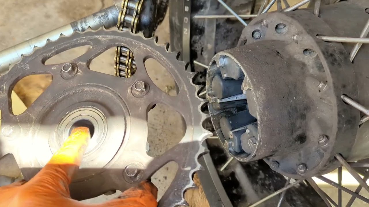 Remove and Install Rear Wheel on Harley Pan America Pan Am.