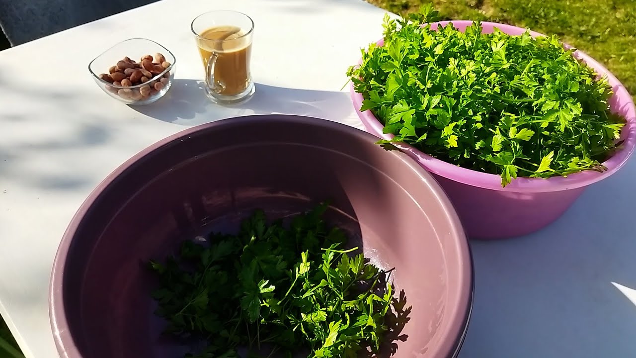 Biraz İş Biraz Keyif