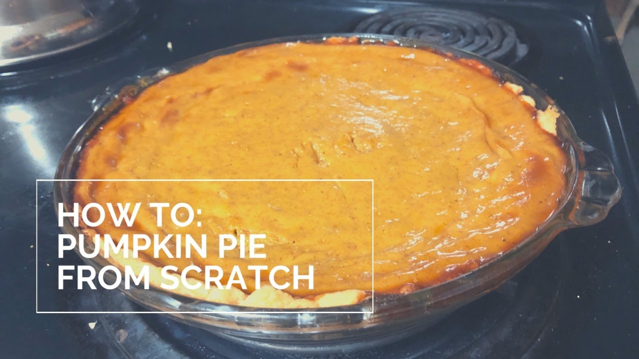 How To: Make Pumpkin Pie from Scratch - YouTube