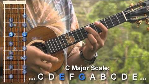 Uke Minutes 65 - C & A String Harmony