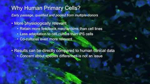 Human Primary In Vitro Systems for Translational Drug Safety & Mechanisms of Toxicity (May 2016)