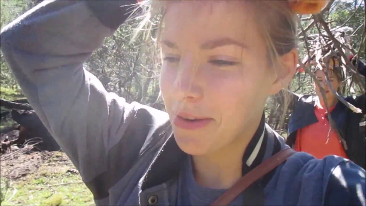 Bathurst & Hogsback | South Africa #7 | Vlog