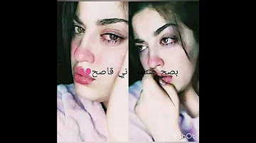قصتي قيمة الأخ الأكبر 